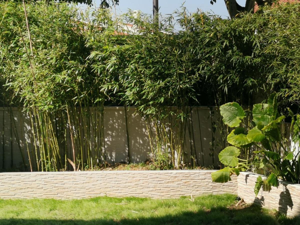 Apartmán 竹林书屋 São Domingos de Rana Exteriér fotografie